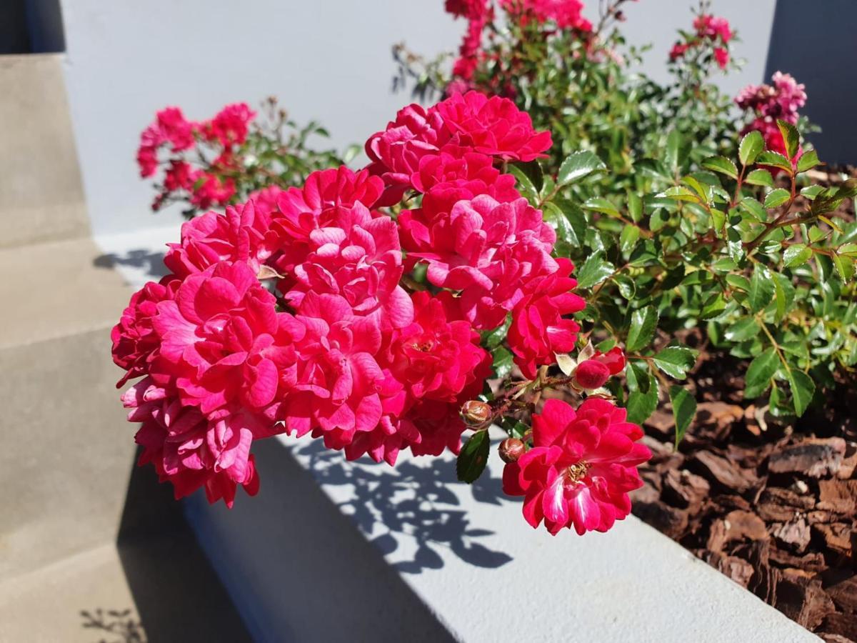Casa Atlantico Dachterrassengeschoss Daire Ribeira Brava Dış mekan fotoğraf