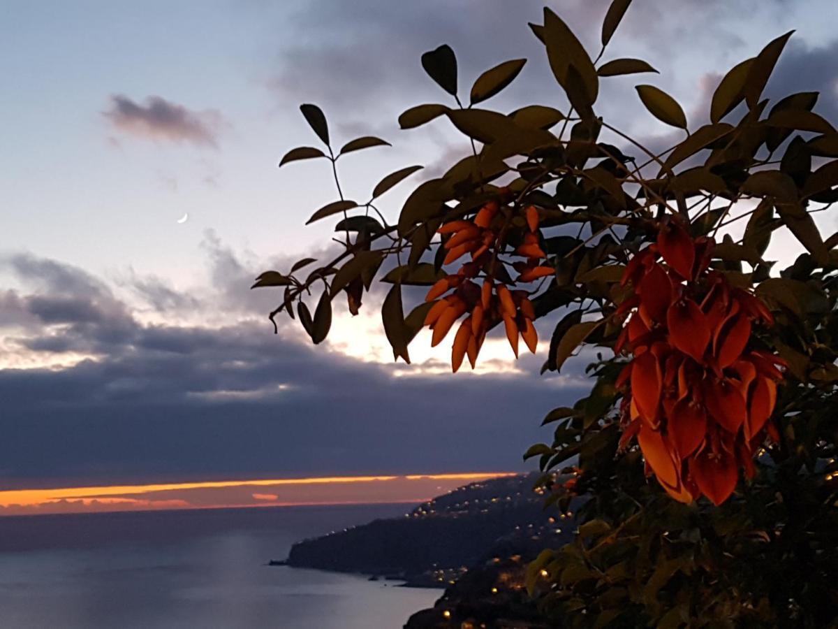 Casa Atlantico Dachterrassengeschoss Daire Ribeira Brava Dış mekan fotoğraf